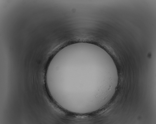 X0000094820450200711161032