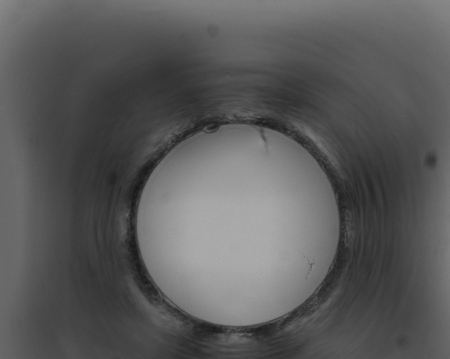 X0000094820451200711161032