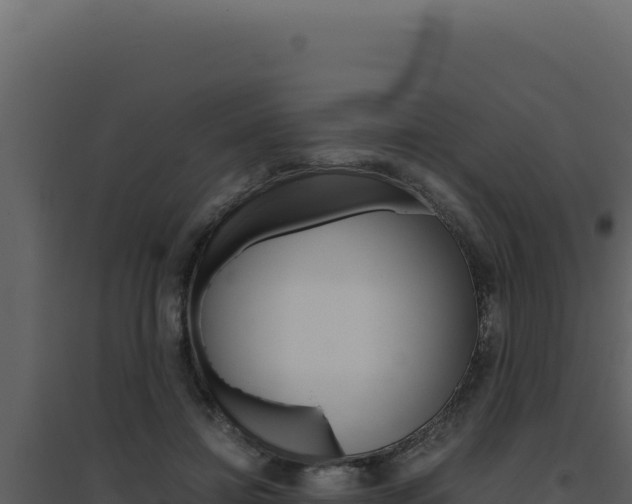 X0000094820452200711161032