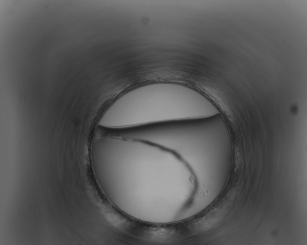 X0000094820453200711161032