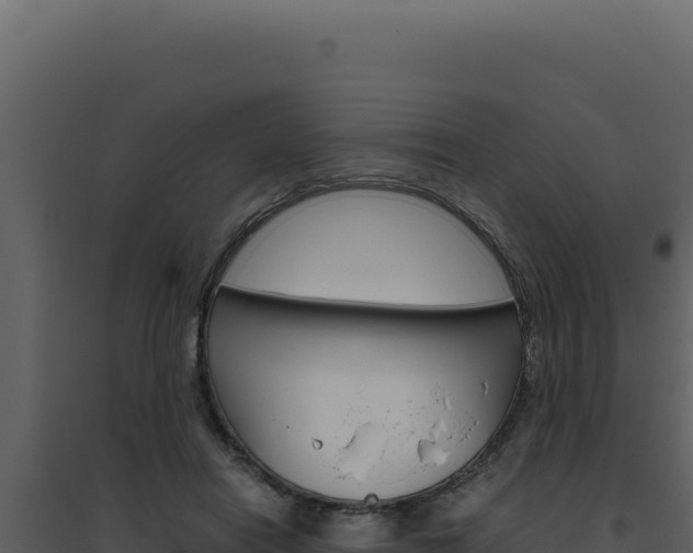 X0000094820454200711161032