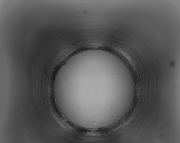 X0000094820455200711161032