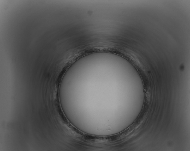X0000094820458200711161032