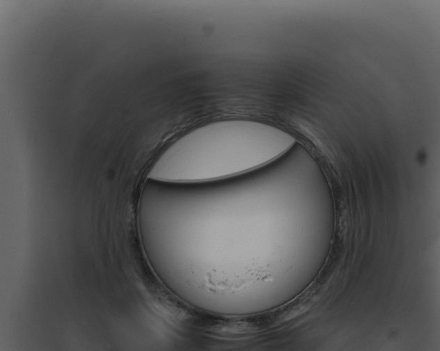 X0000094820459200711161032