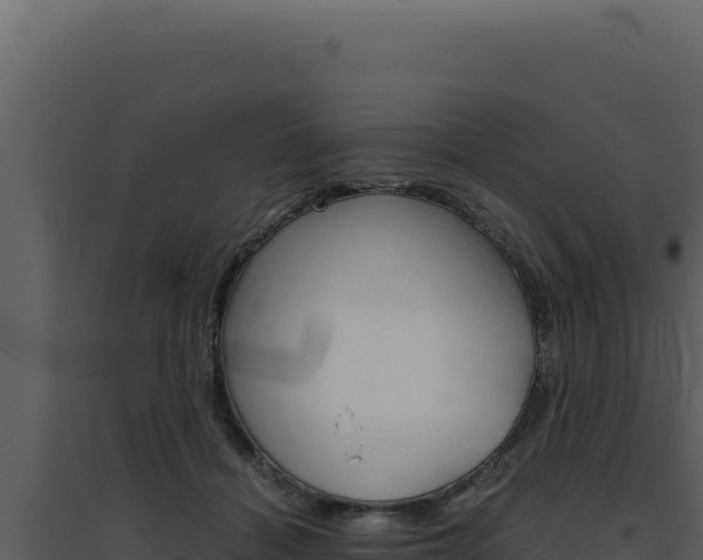 X0000094820460200711161032