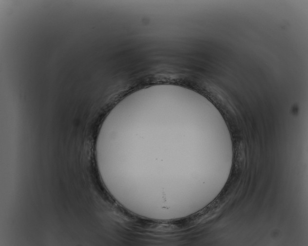 X0000094820463200711161032