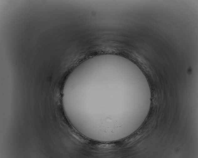 X0000094820465200711161032