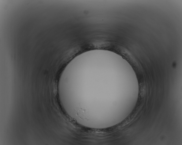 X0000094820471200711161032