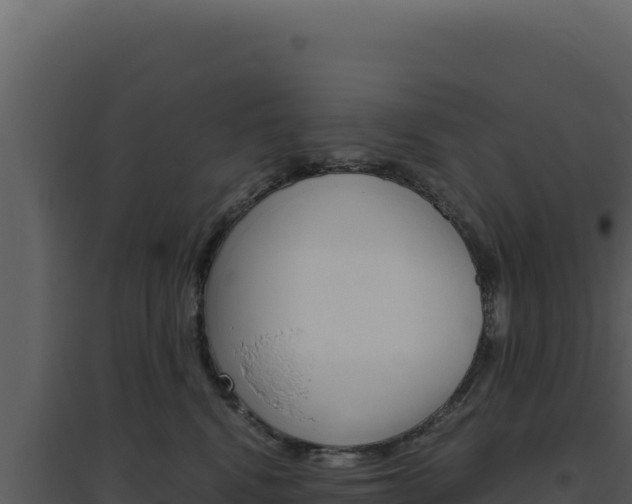 X0000094820472200711161032