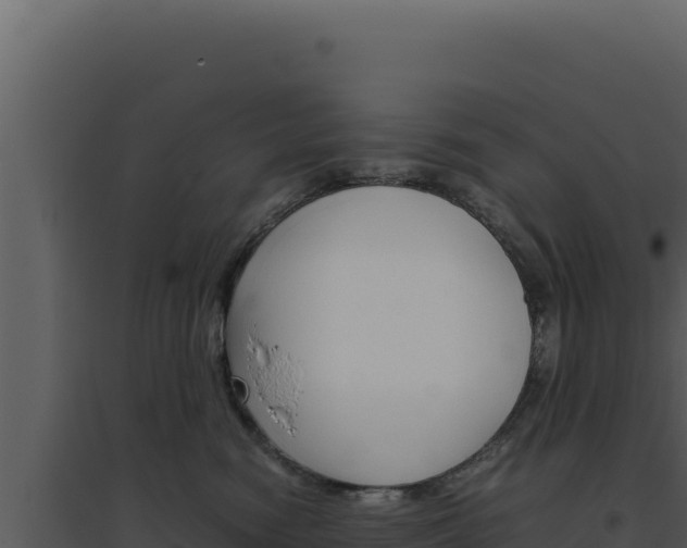 X0000094820474200711161033