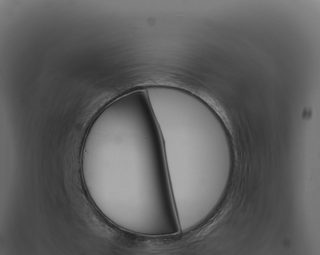 X0000094820481200711161032