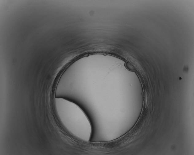 X0000094820483200711161032