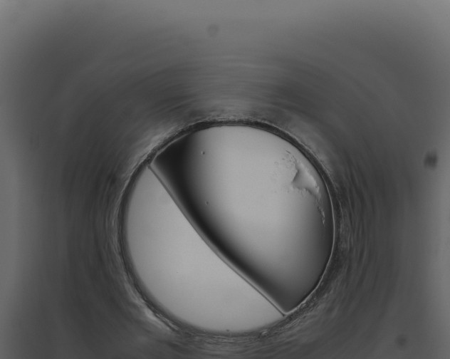 X0000094820485200711161032