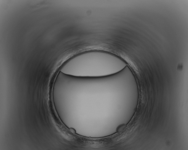 X0000094820486200711161032