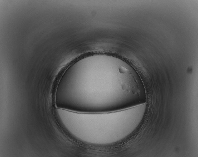 X0000094820488200711161032