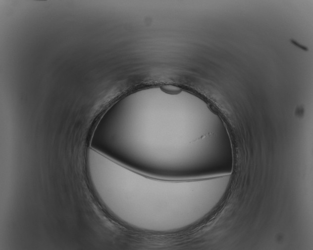 X0000094820489200711161032