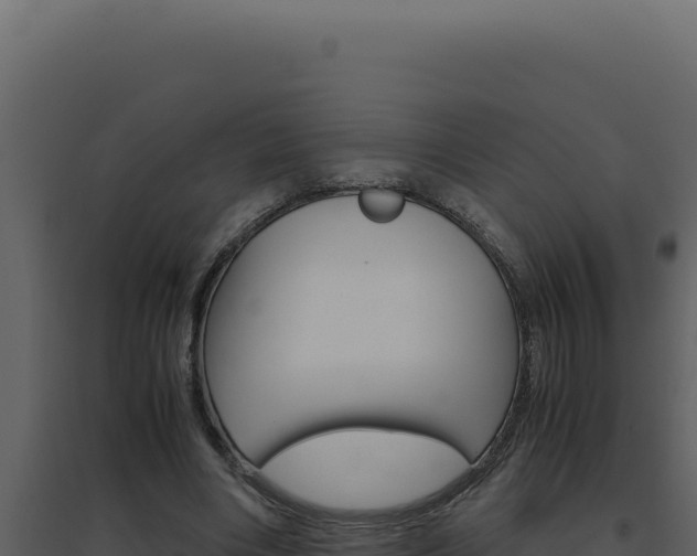 X0000094820490200711161032