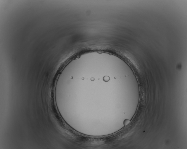 X0000094820491200711161031