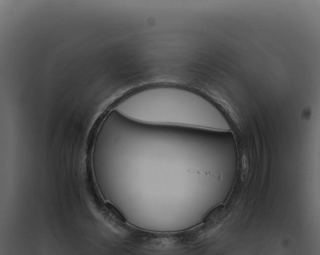 X0000094820492200711161031