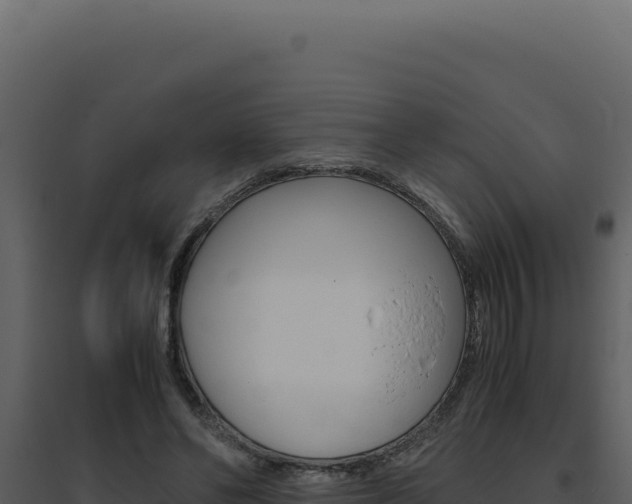 X0000094820494200711161031