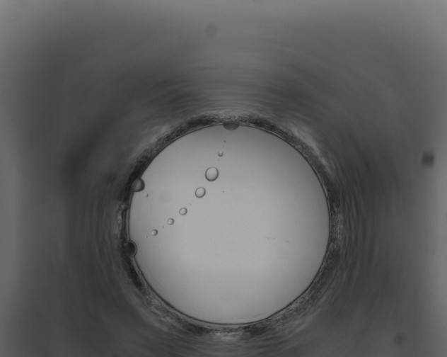 X0000094820495200711161031
