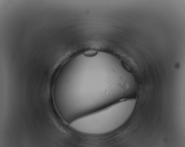 X0000094820496200711161031