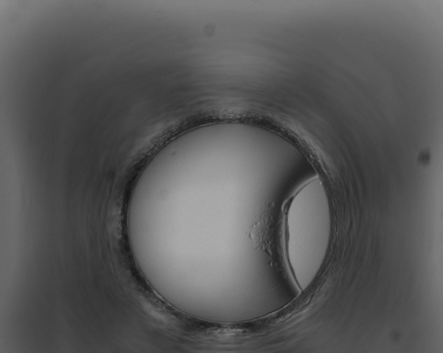 X0000094820497200711161031