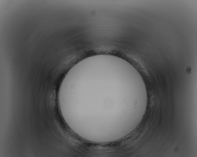 X0000094820498200711161031