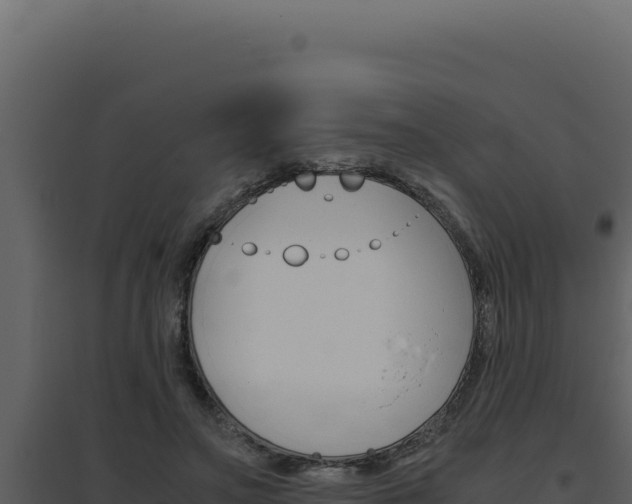 X0000094820499200711161031