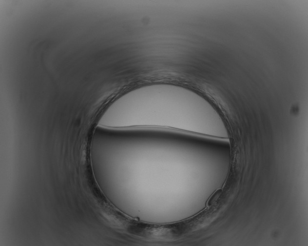 X0000094820501200711161031
