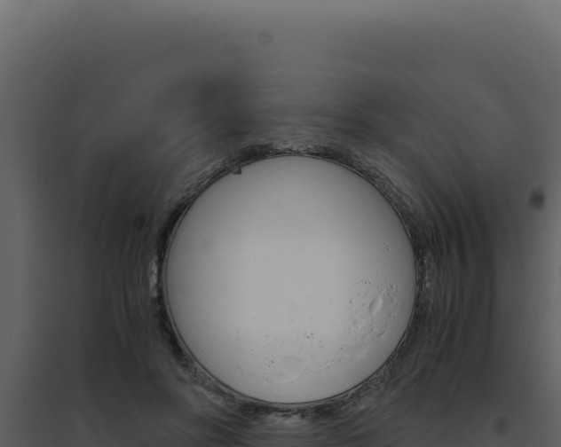 X0000094820502200711161031