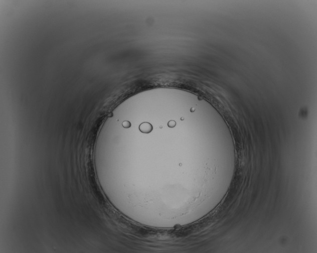 X0000094820503200711161031