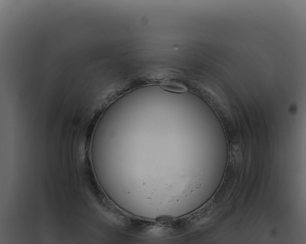 X0000094820504200711161031