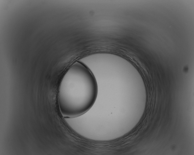 X0000094820505200711161031