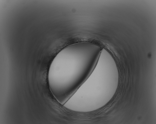 X0000094820509200711161031