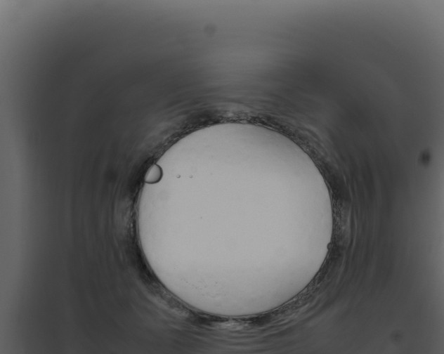 X0000094820511200711161031