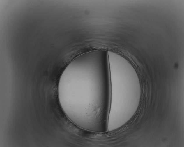 X0000094820513200711161031