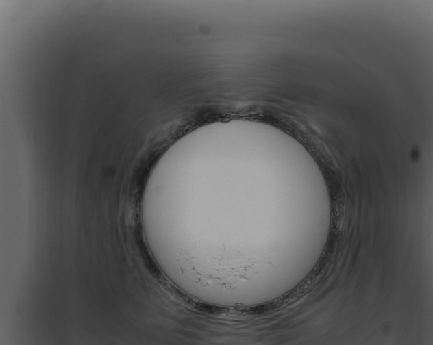 X0000094820515200711161031