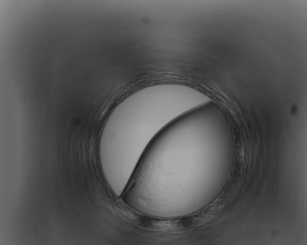 X0000094820516200711161031