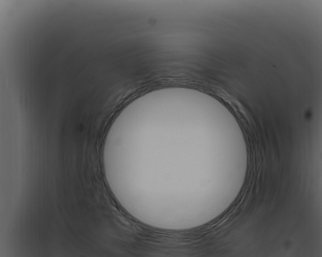 X0000094820517200711161031