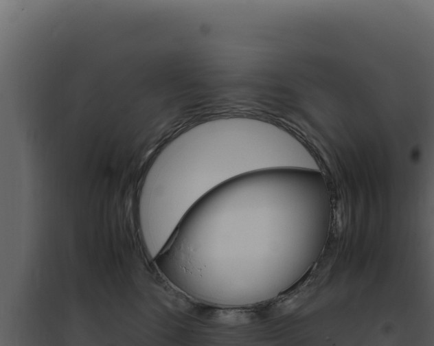 X0000094820520200711161031