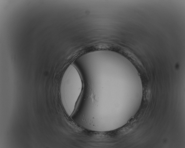 X0000094820521200711161031