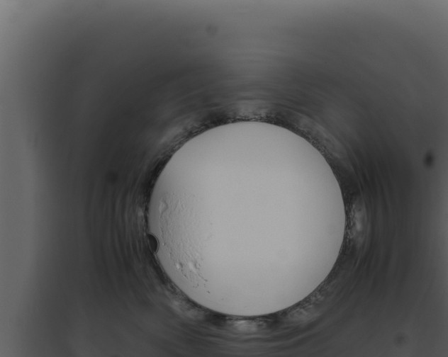 X0000094820522200711161031