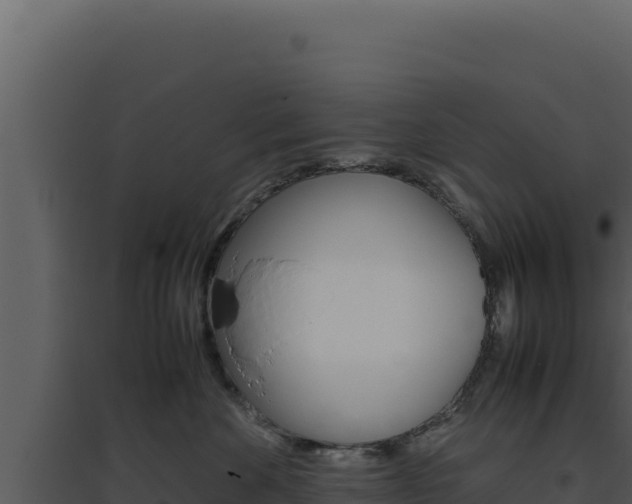 X0000094820524200711161031