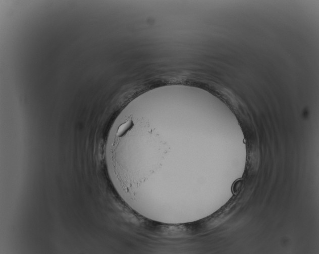 X0000094820525200711161031