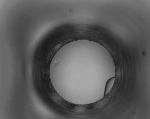 X0000094820526200711161031