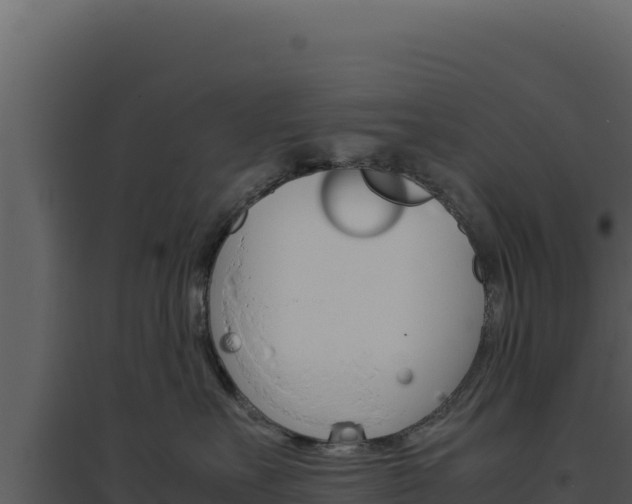 X0000094820527200711161031