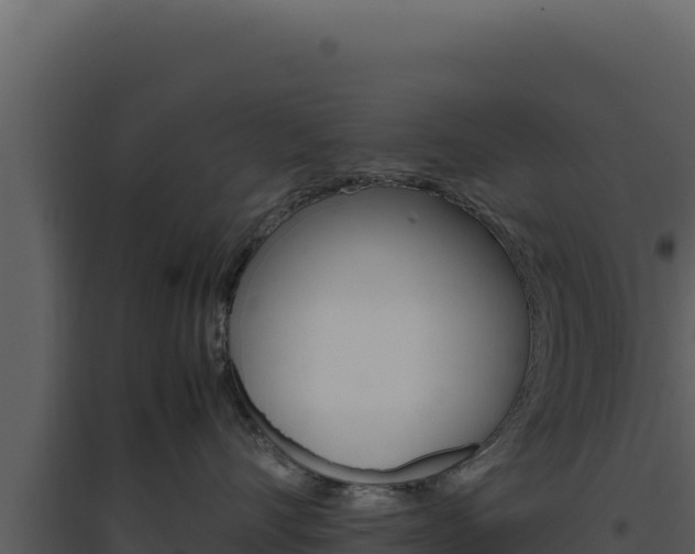 X0000094820528200711161031