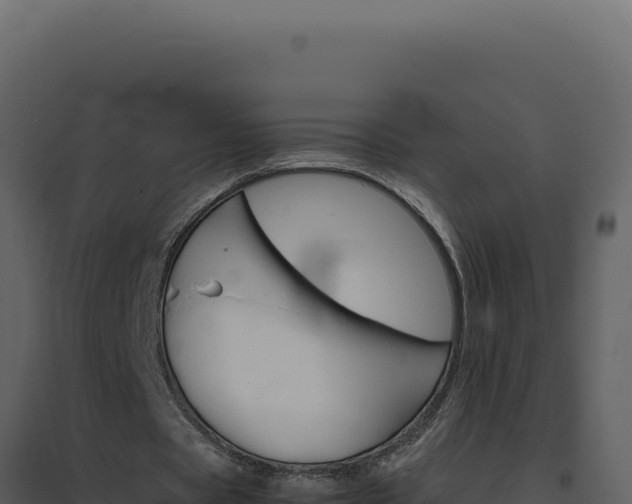 X0000094820529200711161030