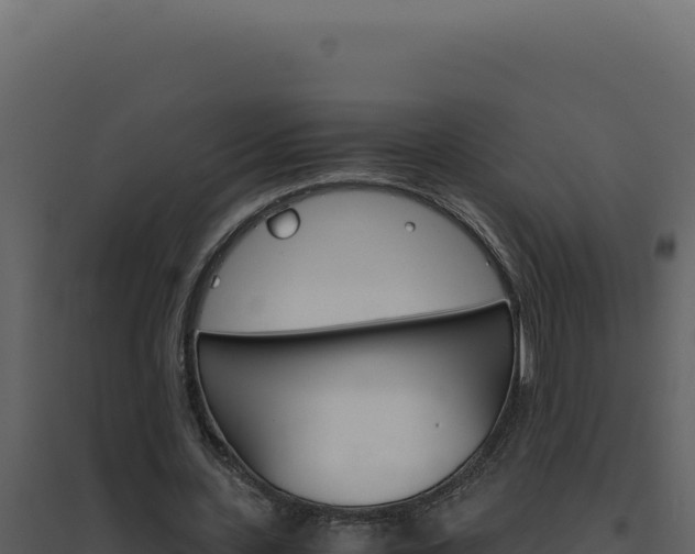 X0000094820531200711161030